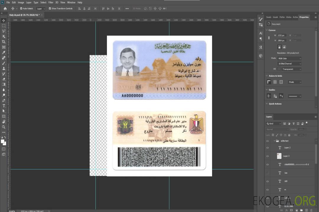 Carte d'identité égyptienne template Carte d'identité égyptienne template